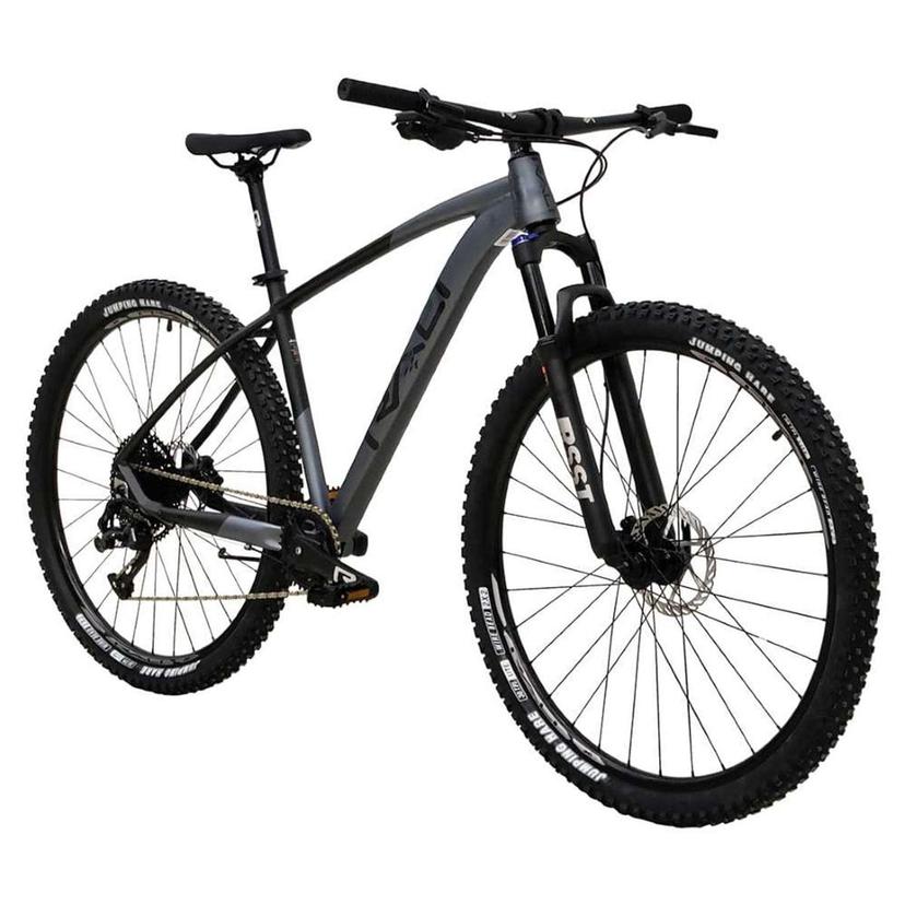 Bicicleta Rali Pro x10 rin 29